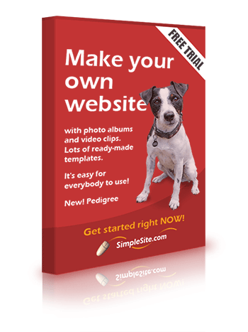 Create Your FREE Simple Site 