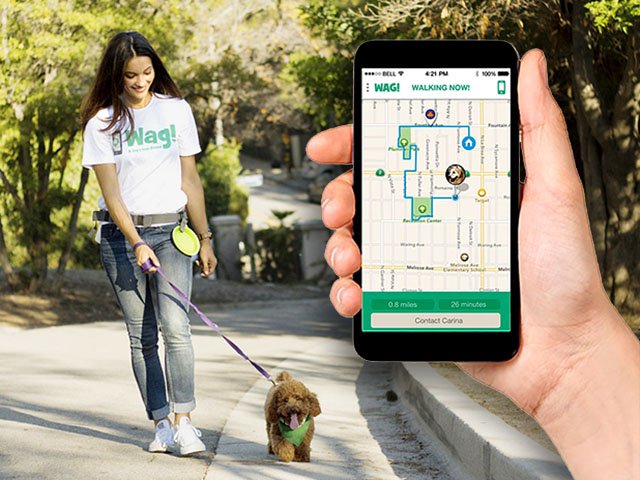 dog-walker-app.jpg