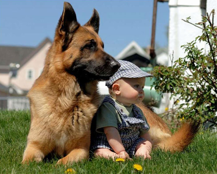 kids-with-dogs.jpg