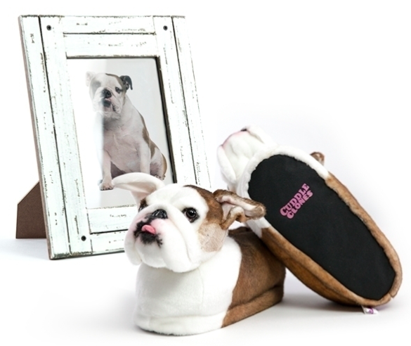 personalised-dog-gift.png