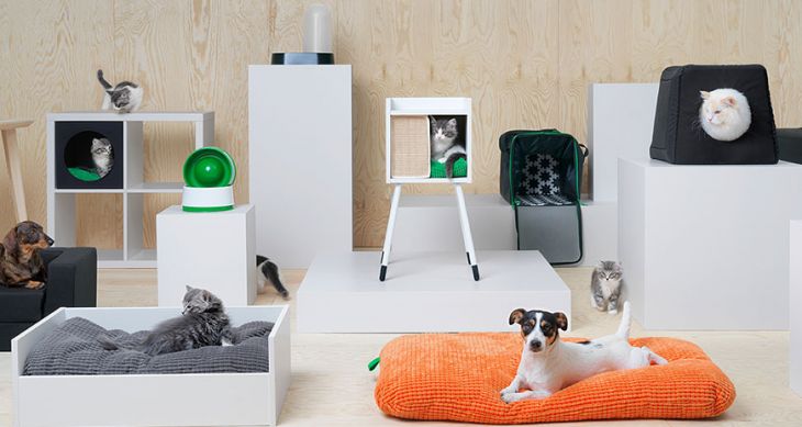 pet-furniture.jpg