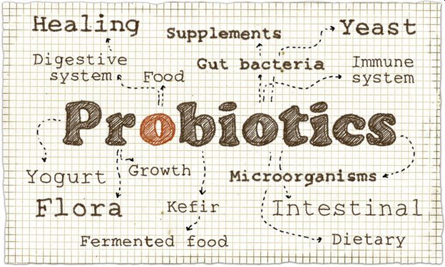 probiotics.jpg
